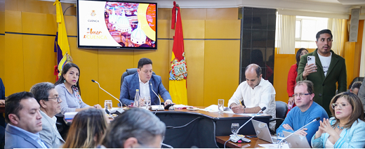 Ordenanza_Representantes